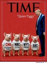 quiet-piggy (1).jpg