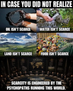 13350b8de21cbebf.png