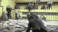 1000001556.gif
