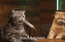1787438038711.png