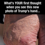 1787556433632.png