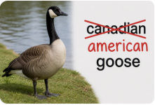 2cdcb28ab4e6812d.png