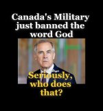 7bc29e19e8c5dcf6.jpg