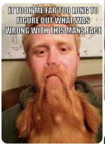 1787921749894.png