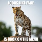 leopards3.jpg
