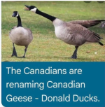 1788043181785.png