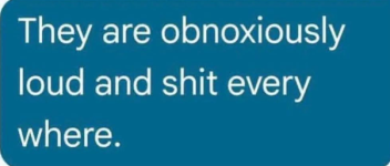 1788043210265.png