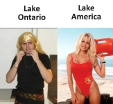 1788055536779.png