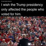 1788101506962.png
