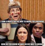 36b202a9b545228b.jpg