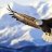Eagle_Eye